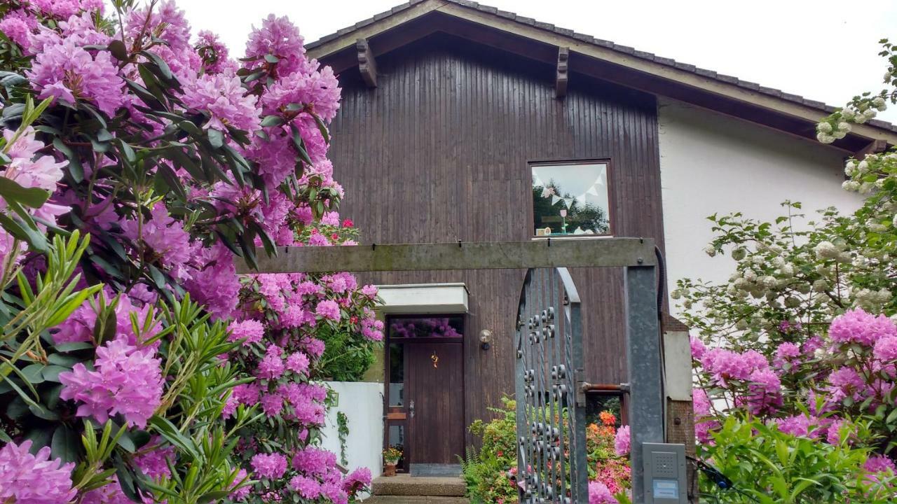 Ferienwohnung Rhododendron - Natur Pur Am Highwalk Rotenburg an der Fulda Luaran gambar